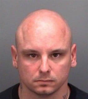 Alminde Lorin - Pinellas County, Florida 