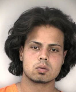 Larreguinegron Mario - Hillsborough County, Florida 