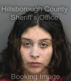 Rodriguez Naline - Hillsborough County, Florida 