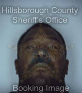 Parrish Theodore - Hillsborough County, Florida 