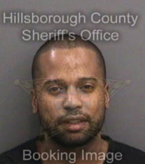 Robinson Brian - Hillsborough County, Florida 