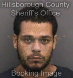 Alicea David - Hillsborough County, Florida 