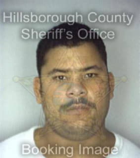 Rodriguez Lazaro - Hillsborough County, Florida 