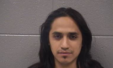 Rosales Manuel - Cook County, Illinois 