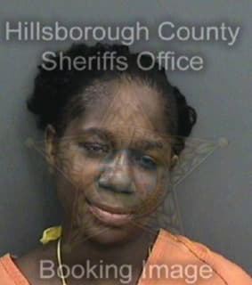 Williams Shanda - Hillsborough County, Florida 