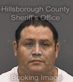 Leon-Medrano Marlon - Hillsborough County, Florida 