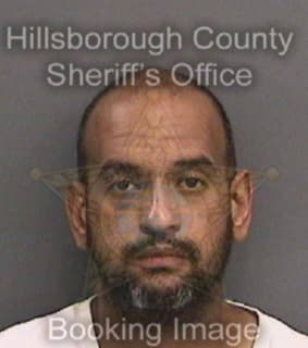 Ortiz Ramon - Hillsborough County, Florida 