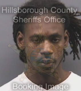 Davis Russell - Hillsborough County, Florida 