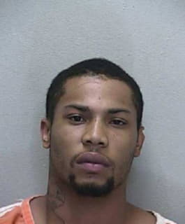 Castro Christopher - Marion County, Florida 