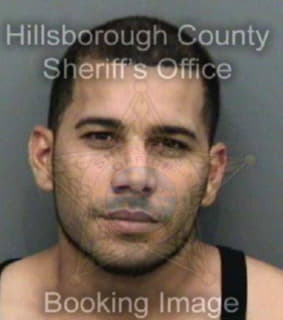 Delgadocamacho Eliezer - Hillsborough County, Florida 