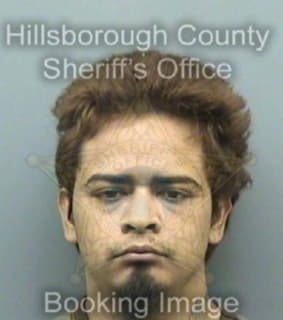 Rodriguez Francisco - Hillsborough County, Florida 