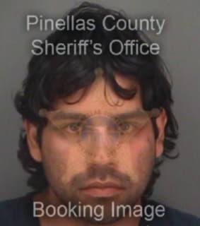 Dejesus George - Pinellas County, Florida 