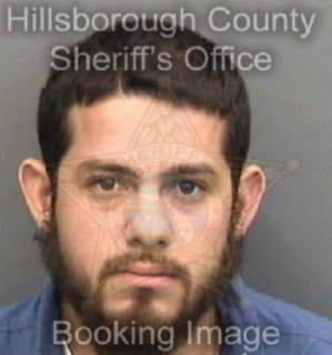 Vidal Gerardo - Hillsborough County, Florida 