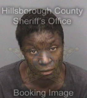 Johnson Lashira - Hillsborough County, Florida 