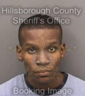 Allen Michael - Hillsborough County, Florida 