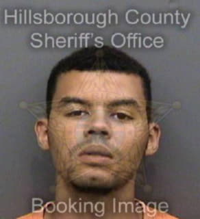 Williams Chaz - Hillsborough County, Florida 