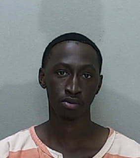 Haynes Dewayne - Marion County, Florida 