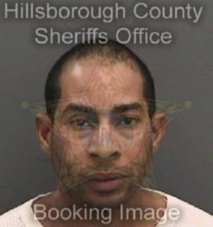 Andinoalvarez Juan - Hillsborough County, Florida 