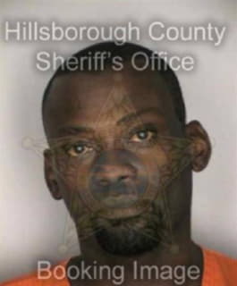 Williams Quintin - Hillsborough County, Florida 