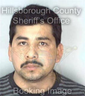 Doriaguerro Ricardo - Hillsborough County, Florida 