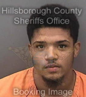 Diegobruzon Irving - Hillsborough County, Florida 