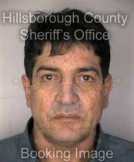 Mejiamelhado Jorge - Hillsborough County, Florida 