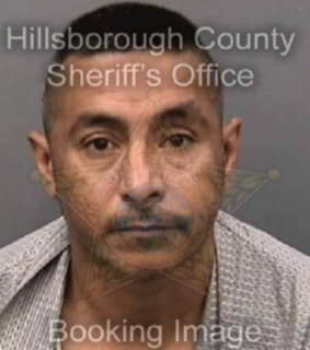 Palomares Carlos - Hillsborough County, Florida 