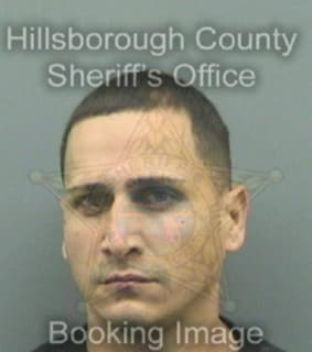 Rodriguez Kelvin - Hillsborough County, Florida 