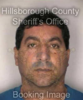 Castellanos Osvaldo - Hillsborough County, Florida 