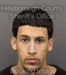 Ruiz Steven - Hillsborough County, Florida 