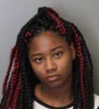 Wilkins Tatyana - Shelby County, Tennessee 