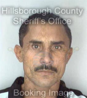 Duarte Tulio - Hillsborough County, Florida 