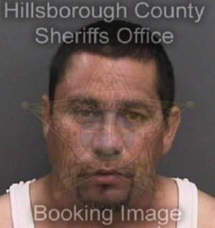 Martinez-Galan Dowill - Hillsborough County, Florida 