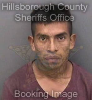 Ortiz-Ruiz Juan - Hillsborough County, Florida 