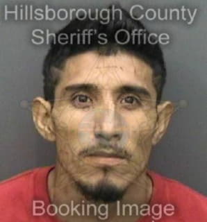 Cruz Luis - Hillsborough County, Florida 