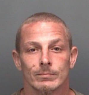 Wolfe Timothy - Pinellas County, Florida 