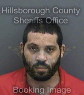 Anderson Antonio - Hillsborough County, Florida 