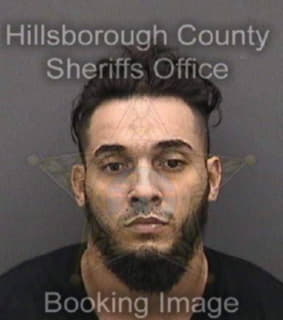 Oyangurenrosado Carlos - Hillsborough County, Florida 