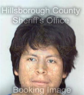 Lopez Humberto - Hillsborough County, Florida 