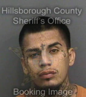 Ledesma Ricky - Hillsborough County, Florida 