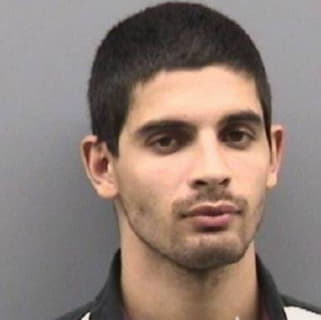 Perez Victor - Hillsborough County, Florida 