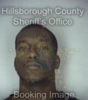 Dorsett Alston - Hillsborough County, Florida 