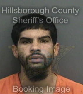 Rodriguez Anthony - Hillsborough County, Florida 