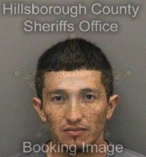 Perezperez Elbin - Hillsborough County, Florida 