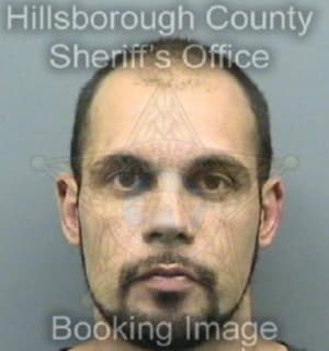 Dominguez Fernando - Hillsborough County, Florida 