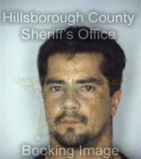 Lopez David - Hillsborough County, Florida 