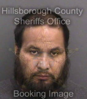 Perez Eliseo - Hillsborough County, Florida 