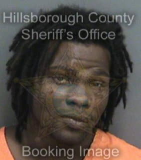 Lee Jerrico - Hillsborough County, Florida 