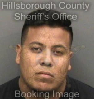 Martinez Jhonathan - Hillsborough County, Florida 