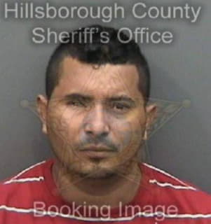 Adonay Noe - Hillsborough County, Florida 